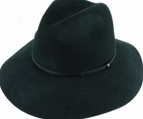 Hanna Ladies Wool Felt Fedora